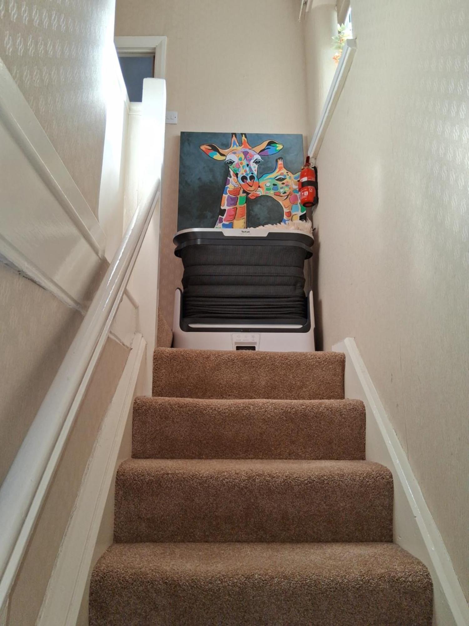 Levens Terrace, Therapy *
